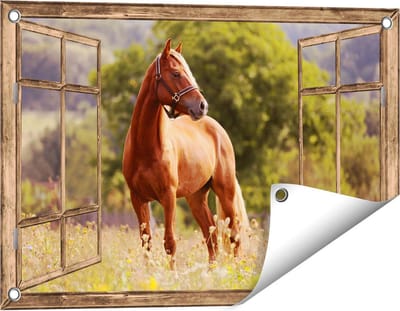 Gards Tuinposter Doorkijk Bruin Paard in de Wei - 60x40 cm - Tuindoek - Tuindecoratie - Wanddecoratie buiten - Tuinschilderij
