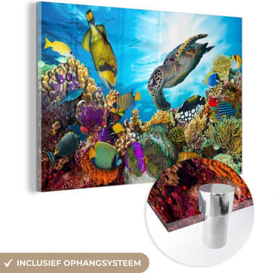 MuchoWow® Glasschilderij 120x80 cm - Schilderij acrylglas - Schildpad - Zee - Koraal - Foto op glas - Muurdecoratie woonkamer - Wanddecoratie slaapkamer - Schilderijen