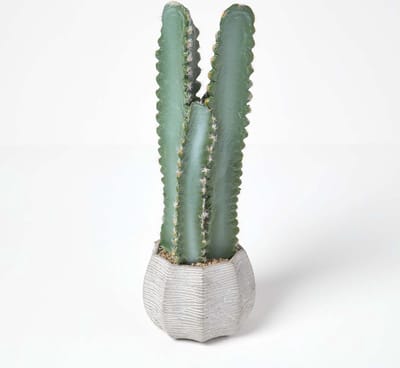 Homescapes Kunstcactus Hylocereus in cementpot, 49 cm hoog