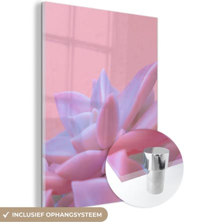 MuchoWow® Glasschilderij 30x40 cm - Schilderij acrylglas - Vetplant - Zomer - Roze - Planten - Foto op glas - Schilderijen
