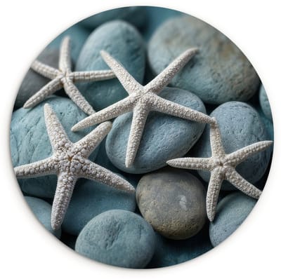 WallCircle® Wandcirkel 120x120 cm - Muurcirkel Zeesterren - Stenen - Wit - Muurdecoratie woonkamer - Wanddecoratie slaapkamer - Kamer decoratie accessoires - Ronde schilderijen XXL