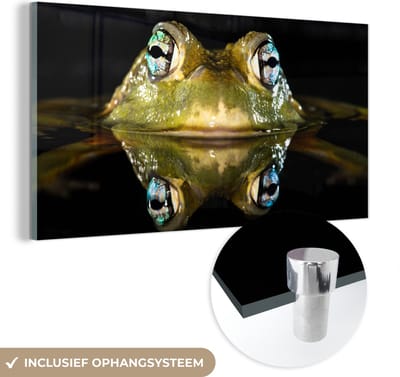 MuchoWow® Glasschilderij 40x20 cm - Schilderij acrylglas - Kikker - Ogen - Portret - Foto op glas - Schilderijen