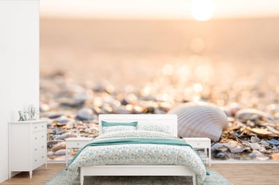 Behang - Fotobehang Schelpen - Wit - Strand - Zomer - Breedte 360 cm x hoogte 240 cm