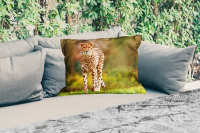 Buitenkussens - Tuin - Wilde dieren - Gras - Luipaard - Natuur - 50x30 cm