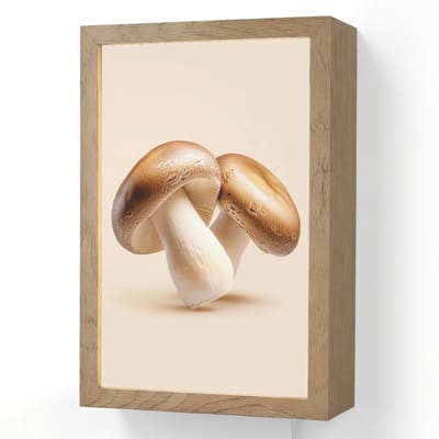 Wandlamp 20x30 cm - Oplaadbaar - Champignons - Zacht - Beige - Wandlampen binnen woonkamer - Slaapkamer lamp met kabel - Decoratieve nachtlamp - Vloerlamp snoer