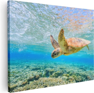 Artaza Canvas Schilderij Schildpad Onderwater - 40x30 cm - Klein - Muurdecoratie Zee - Wanddecoratie Woonkamer - Kamer Accessoires