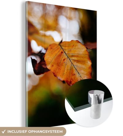 MuchoWow® Glasschilderij 30x40 cm - Schilderij acrylglas - Beuk - Herfst - Bladeren - Foto op glas - Schilderijen