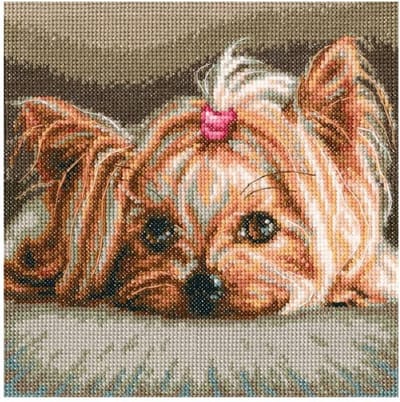 RTO Yorkshire Terrier Pet borduren (pakket)
