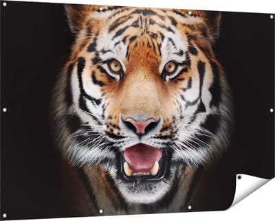 Gards Tuinposter Tijgerkop - Tijger - 150x100 cm - Tuindoek - Tuindecoratie - Wanddecoratie buiten - Tuinschilderij
