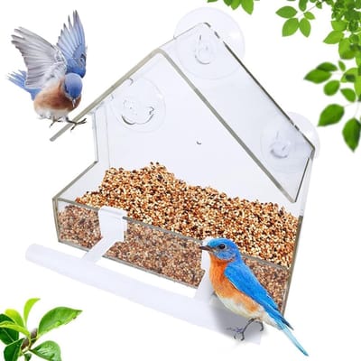 Famanu – Vogelvoederbak - vogelhuis voor buiten met 2 stangen - kleine acryl venster vogelvoeder met sterke zuignappen en afvoergaten 15 x 6 x 15 cm
