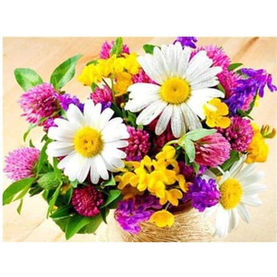 Peinture au Diamant 5D DIY Image de Fleur en Strass Broderie Diamant Florale Marguerite Décoration de Maison 20X30CM yellow