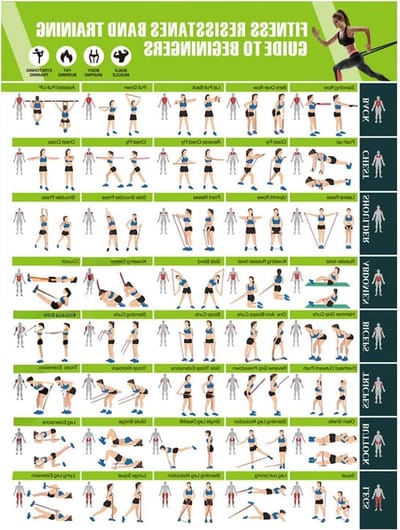 Trainingsposter Kracht - Fitness Gids - Spieropbouw Training - Gedetailleerde Oefeningen - 22.6 Inch - Niet gespecificeerd