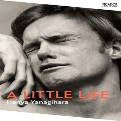 A Little Life door Hanya Yanagihara Paperback Boek 9781529077216