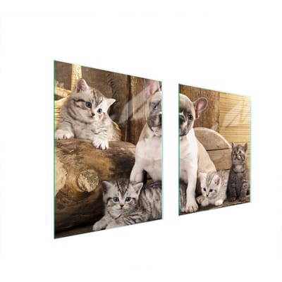 TMK ArtDeko - Serie - Glazen Beschermplaat - 85x52 cm - Pies Motief