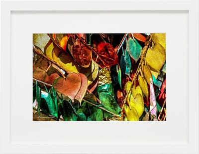 Deknudt Frames Poster in lijst - kleurrijke boombladeren - 30x40 cm