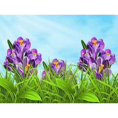 Borduren Handwerk 5D Diamant Borduren Diamant Schilderen Craft Kits Tulp Groene Olie Mozaïek Cadeau 20X30CM purple