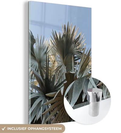 MuchoWow® Glasschilderij 120x180 cm - Schilderij acrylglas - Palm - Bladeren - Tropisch - Zomer - Foto op glas - Schilderijen