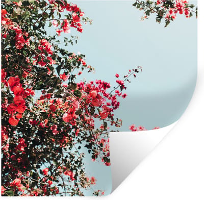 Muurstickers - Sticker Folie - Bloemen - Lucht - Roze - 100x100 cm - Plakfolie - Muurstickers Kinderkamer - Zelfklevend Behang XXL - Zelfklevend behangpapier - Stickerfolie