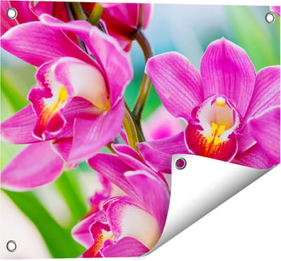 Gards Tuinposter Licht Paarse Orchidee Bloemen - 50x40 cm - Tuindoek - Tuindecoratie - Wanddecoratie buiten - Tuinschilderij