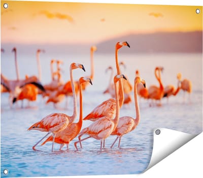 Gards Tuinposter Kudde Flamingo's in het Water - 80x60 cm - Tuindoek - Tuindecoratie - Wanddecoratie buiten - Tuinschilderij