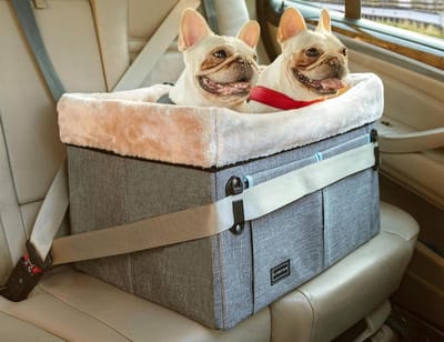 Petsfit Hondenautostoeltje, voor 1 middelgrote hond of 2 kleine honden, stoelverhoger voor in de auto, met gepatenteerde gespriemen, wasbare kussenmat, voor huisdieren tot 20 kg, lichtgrijs