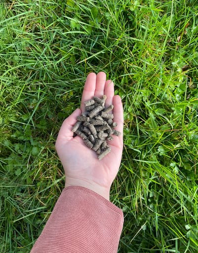 Wolkorrels – Wolpellets – 5kg - Organische meststof en bodemverbeteraar voor moestuin en potplanten – 100% natuurlijke mest van schapenwol