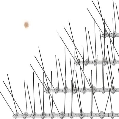 Famanu – Duivenpinnen - Duivenafweerspikes van Transparant Plastic met 60 Spikes - Vogelafweer Meeuwen Pinnen Kattenspikes - Kattenverjager voor Tuin - Vogelpinnen Duivenverjager Balkon