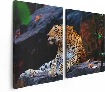 Artaza Canvas Schilderij Tweeluik Luipaard Op De Rotsen - 120x80 - Foto Op Canvas - Canvas Print