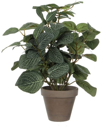 Kunstplant mica pilea in pot 35x25cm | 6 stuks