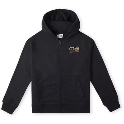 Capuchon sweaters O'neill Circle Surfer