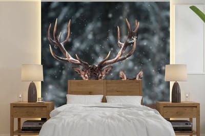 Behang - Fotobehang Hert - Dieren - Winter - Gewei - Sneeuw - Natuur - Breedte 240 cm x hoogte 240 cm