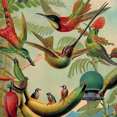 Various Artists - Radar Keroxen Vol. 4 (LP)