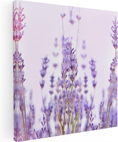 Artaza Canvas Schilderij Lavendel - 80x80 cm - Wanddecoratie Bloemen - Muurdecoratie Paars - Schilderijen Op Canvas