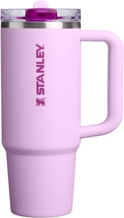 STANLEY Quencher ProTour Flip Straw Tumbler 0.89L (Soft Orchid) - Lekvrije Drinkbeker met Rietje & Handvat – RVS Geïsoleerd – BPA-vrij – Cupholder Geschikt