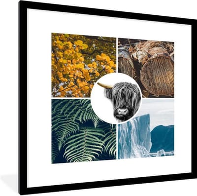 Fotolijst incl. Poster - Schotse Hooglander - - Planten - Boom - 40x40 cm - Posterlijst