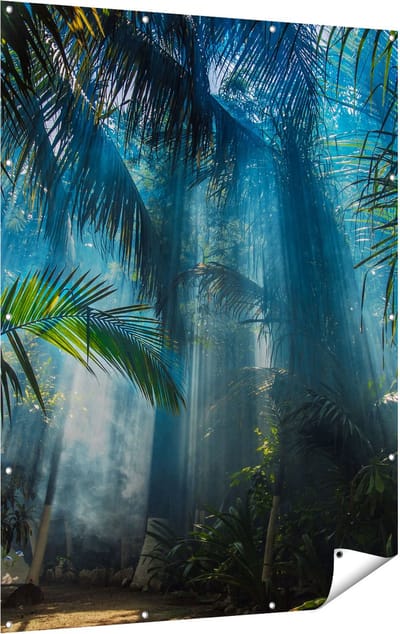 Gards Tuinposter Dichtbegroeide Jungle met Zonnestralen - 120x160 cm - Tuindoek - Tuindecoratie - Wanddecoratie buiten - Tuinschilderij