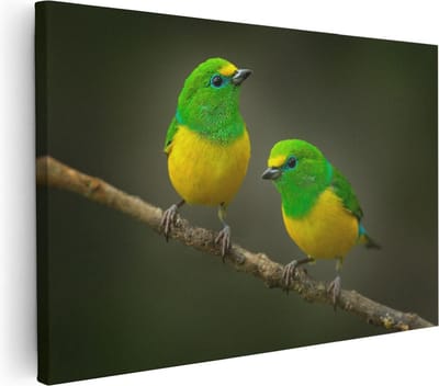 Artaza Canvas Schilderij Tropische Vogels - 30x20 cm - Klein - Muurdecoratie Vogel - Wanddecoratie Woonkamer - Kamer Accessoires