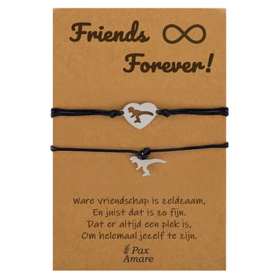 Vriendschapsarmbandjes voor 2 " Friends Forever ∞" - Dinosaurus - BFF Armbandjes met Persoonlijk Cadeau Kaartje - Zilverkleurig & Zwart - Elastisch Verstelbaar - Pax Amare