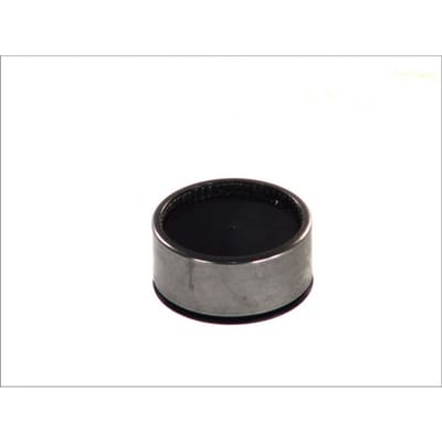 Naaldlager, asbalk DT Spare Parts 6.53210