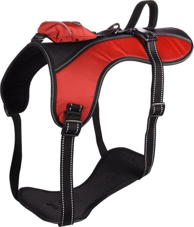 Flamingo Kelso - Harnas Honden - Harnas Kelso Rood Xxl 68-106cm 25mm - 1st - 131674 - 1st