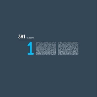 Various Artists - 391 | Selezione 1 (2 LP)