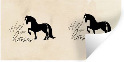 Muurstickers - Sticker Folie - Spreuken - Paard - Quotes - Hold your horses - 40x20 cm - Plakfolie - Muurstickers Kinderkamer - Zelfklevend Behang - Zelfklevend behangpapier - Stickerfolie