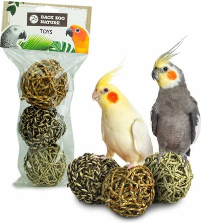 Back Zoo Nature Giant Seagrass Balls - Pack of 3