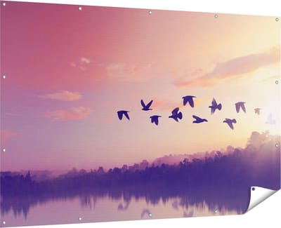Gards Tuinposter Silhouet Vogels tijdens Zonsondergang - 180x120 cm - Tuindoek - Tuindecoratie - Wanddecoratie buiten - Tuinschilderij