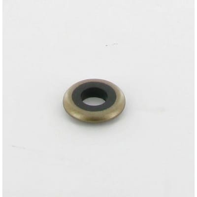 Briggs & stratton ring