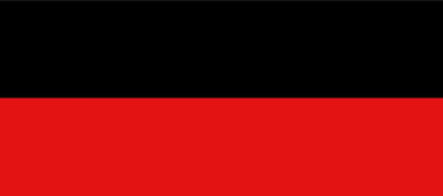 Vlag Landen 100x150cm