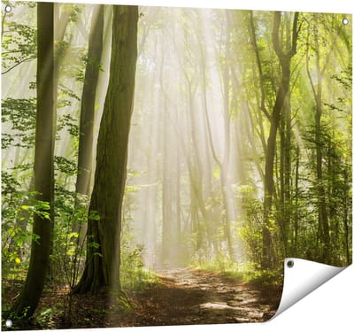 Gards Tuinposter Bos met Bomen en Zonneschijn - 100x80 cm - Tuindoek - Tuindecoratie - Wanddecoratie buiten - Tuinschilderij