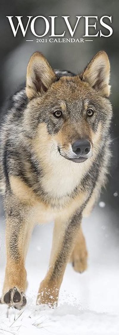 Wolves Slimline Kalender 2021