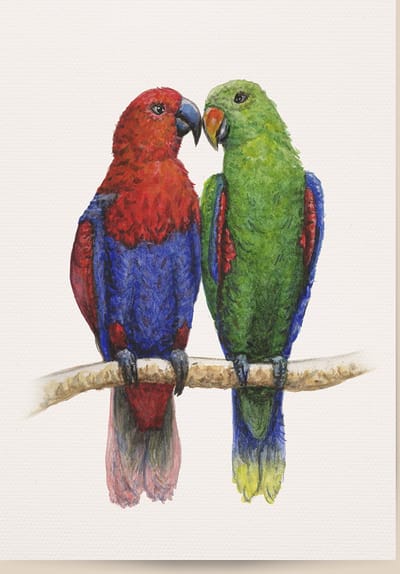 World of Mies poster papegaaien - A4 - mooi dik papier - Snel verzonden! - tropische vogels - dieren in aquarel - geschilderd door Mies