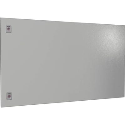 Rittal SV 9682.106 Deeldeur Staal Grijs (b x h) 1000 mm x 600 mm 1 stuk(s)